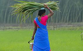 Women's Empowerment in India